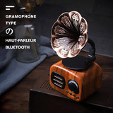 Gramophone Bluetooth