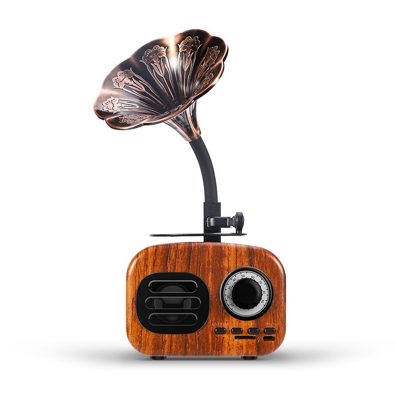 Gramophone Bluetooth