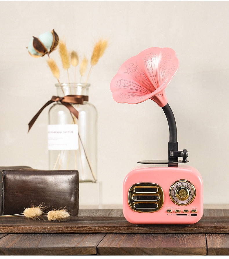 Gramophone Bluetooth