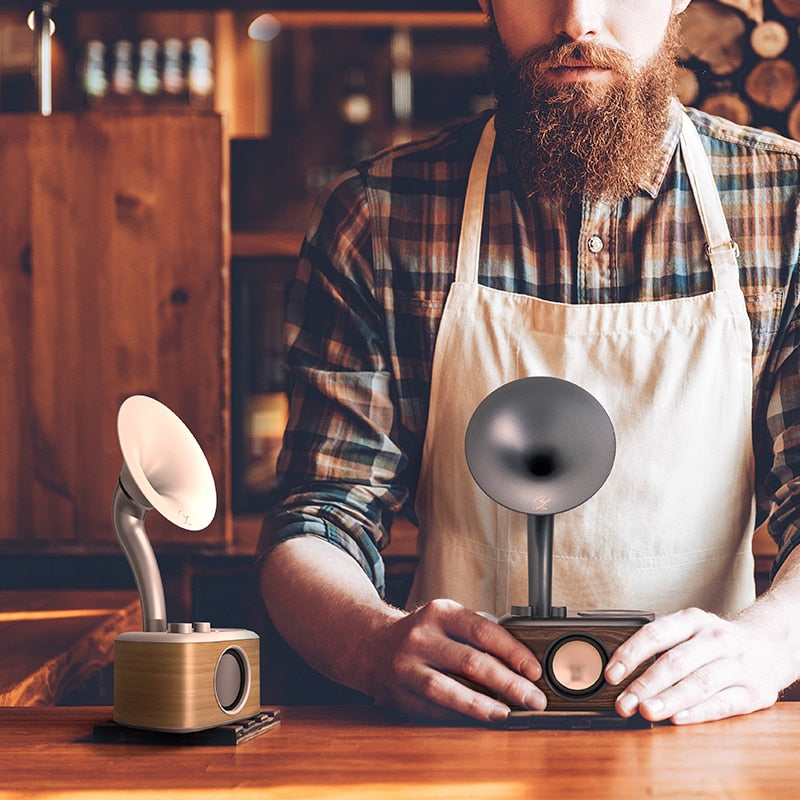 Enceinte Sangean bluetooth